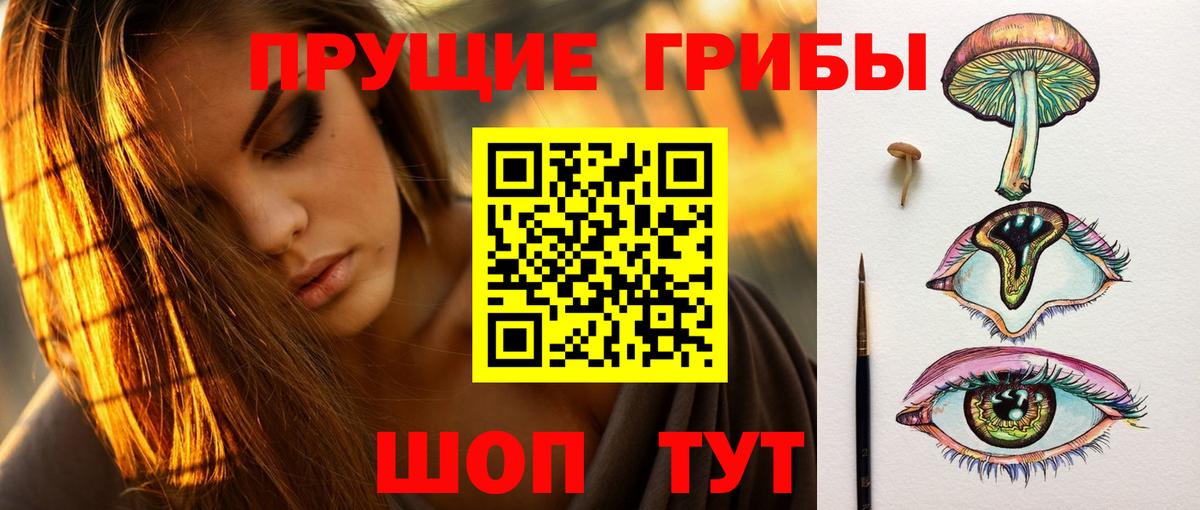 Галлюциногенные грибы Psilocybe  Галлюциногенные грибы Magic Shrooms  Вход с VPN  Павловский Посад 
